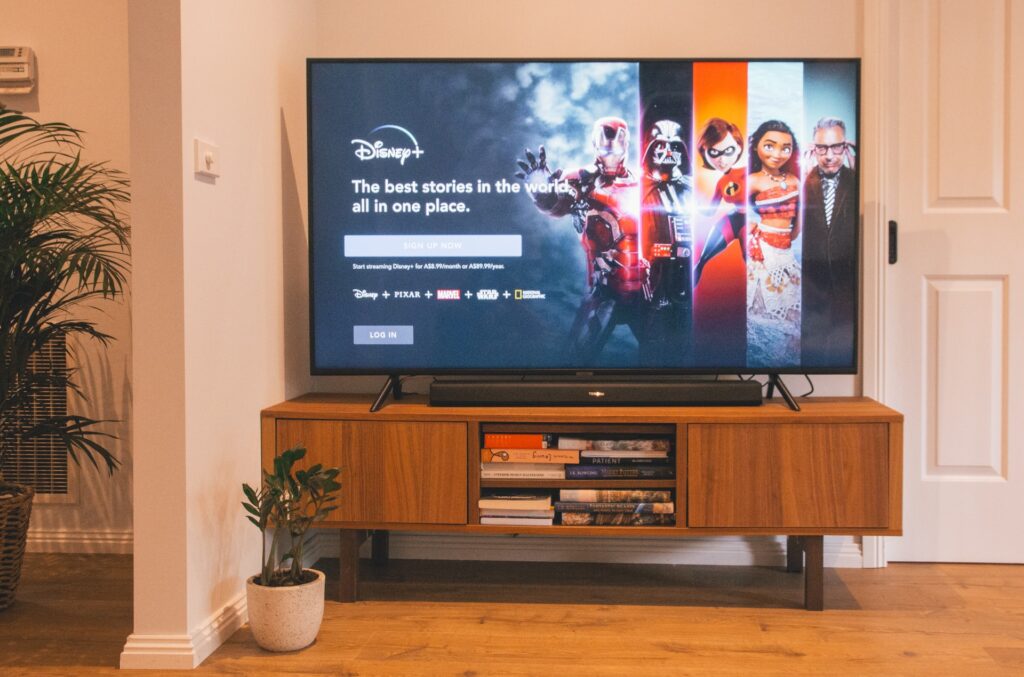Rack de TV em sala de estar com vaso de plantas. A tela da TV está com o stream que é Disney Plus